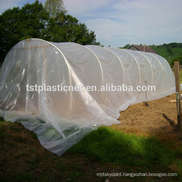 virgin LDPE Duratough extra heavy duty 180 micron greenhouse film with great storm / wind resistance